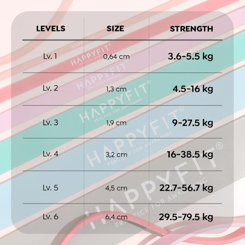 HAPPYFIT Resistance Full Body Power Band 4