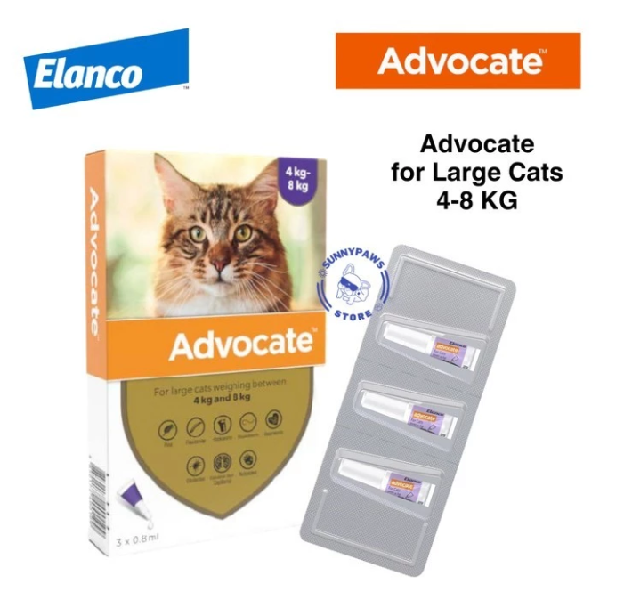 Bayer Advocate for Large Cat 4-8 kg