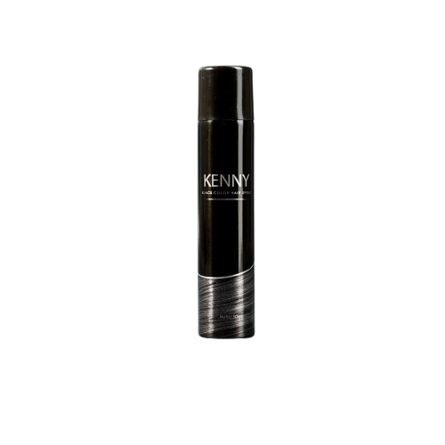 Kenny Hair Color Spray Black