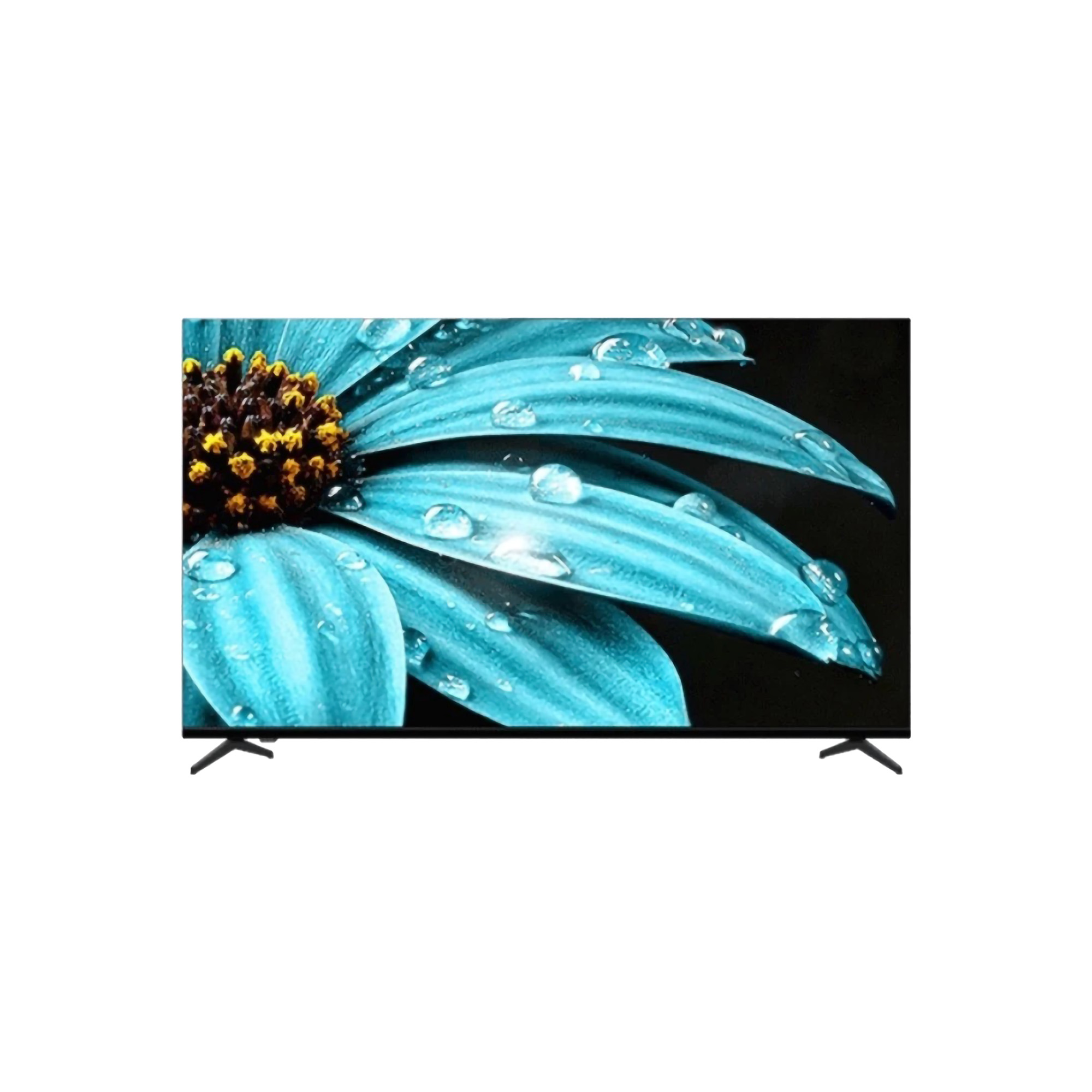 SHARP ｜ 4K Google TV Frameless 55 Inch ｜ 4T-C55FJ1i