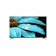 SHARP Electronics 4K Google TV Frameless 55 Inch 1
