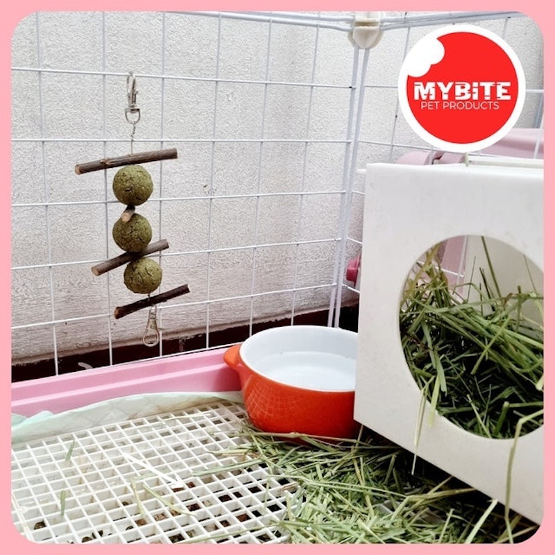 Banana Hay Ball & Apple Stick 3