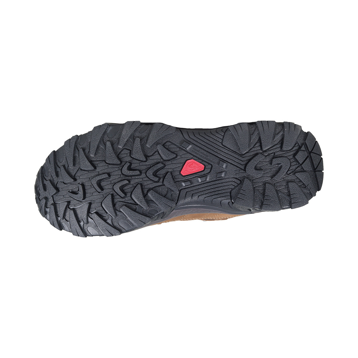 CONSINA ASKOLE