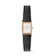 Timex Group Daniel Wellington Bound Mini Black Lizard Rose Gold 1
