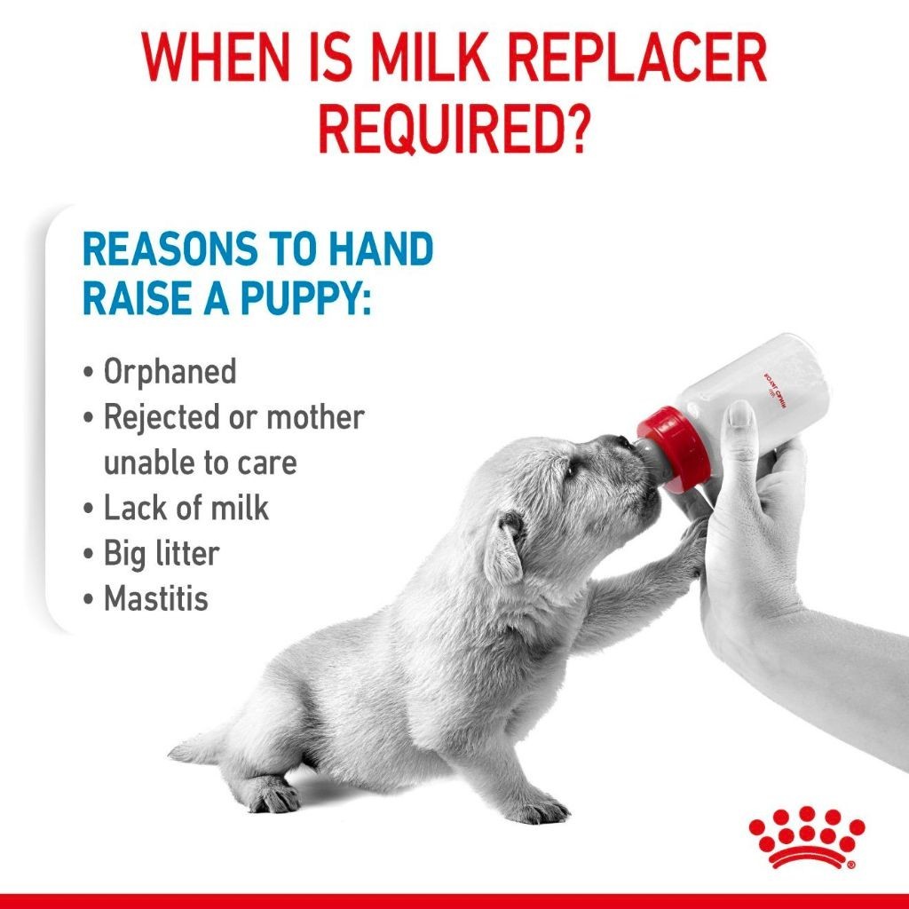 Royal Canin Babydog Milk 2