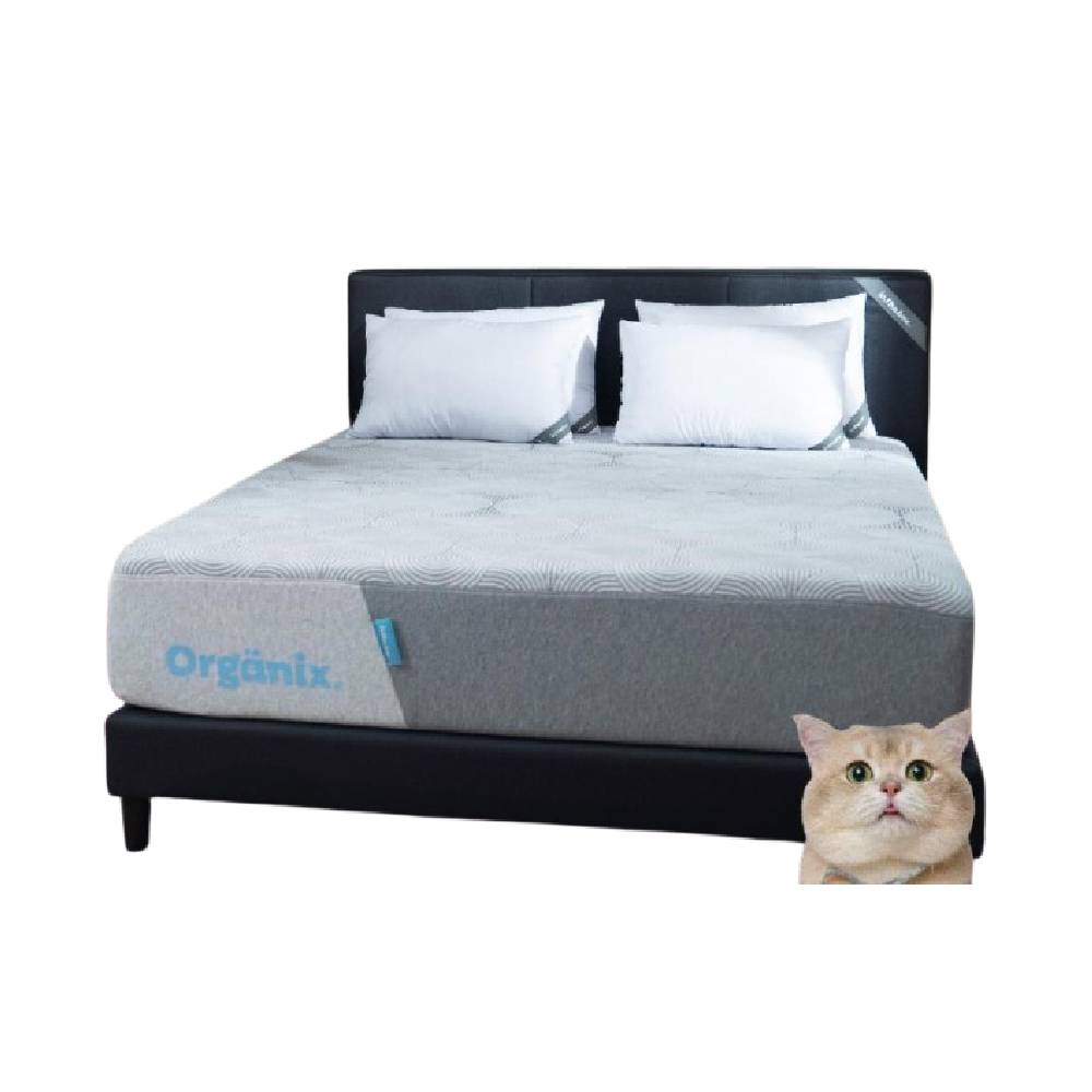 10 Rekomendasi Spring Bed Harga 5 Jutaan Terbaik  [Merk Bagus & Berkualitas, Tidur Lebih Nyaman] (Terbaru Tahun 2026) 1