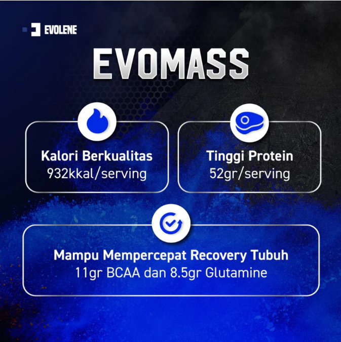  Anugrah Inti Makmur Indonesia Evolene Evomass Coklat Hazelnut