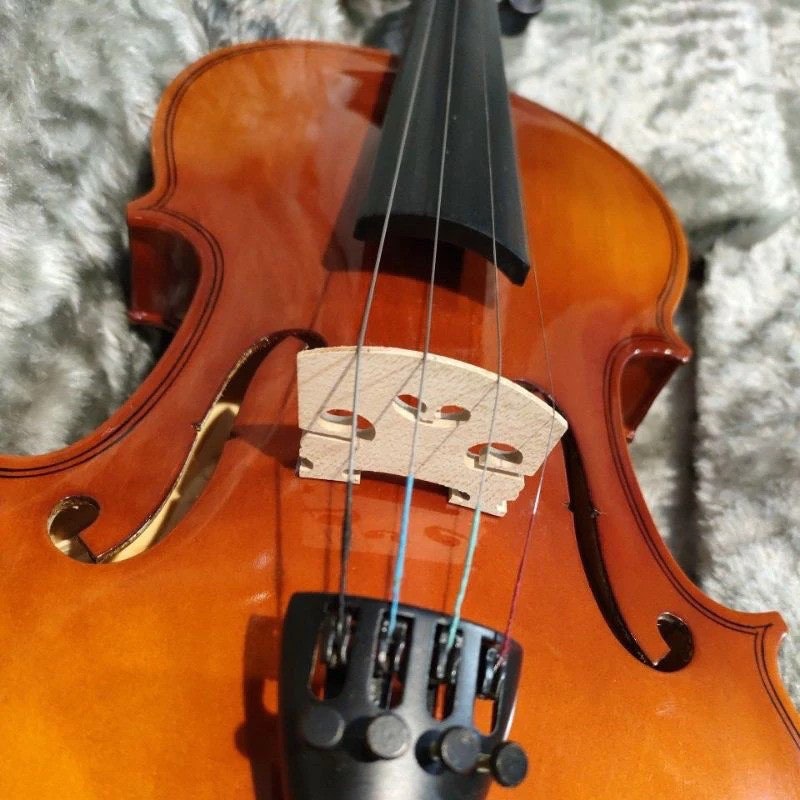 STAINER Violin Outfit 3/4 4