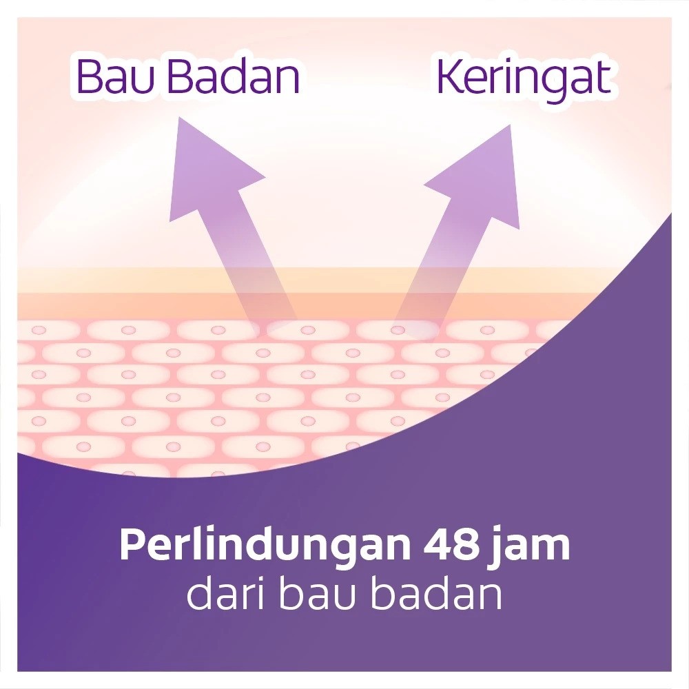 Colgate-Palmolive Lady Speed Stick Invisible Dry Powder Fresh