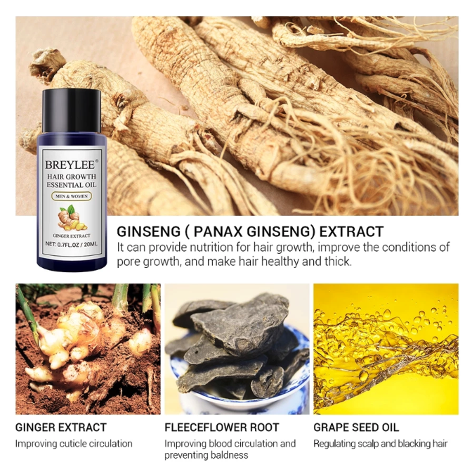 Guangzhou Shifei Bio-Tech Breylee Hair Growth Essential Oil