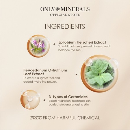 YA-MAN Only Minerals Mineral Essence BB Cream