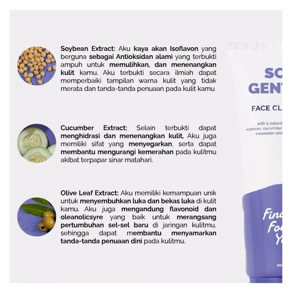 Karya Maharendra Innovation Finally Found You! Soy Gentle! Face Cleanser