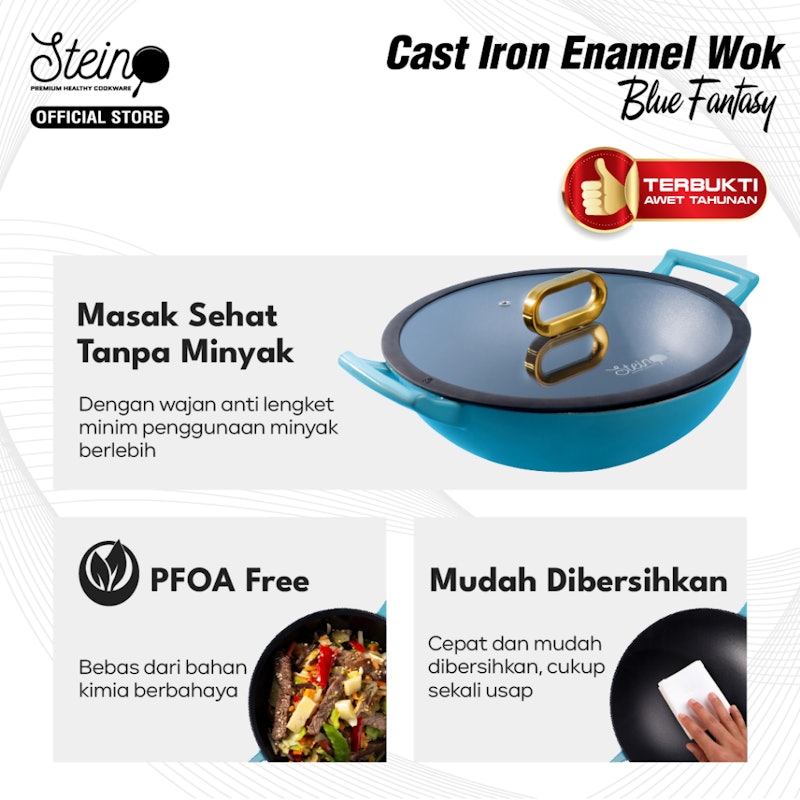 STEIN Cast Iron Enamel Wok 3
