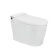 Bangun Delta Abadi Icepol Closet Duduk Ecowasher Smart Bidet 1