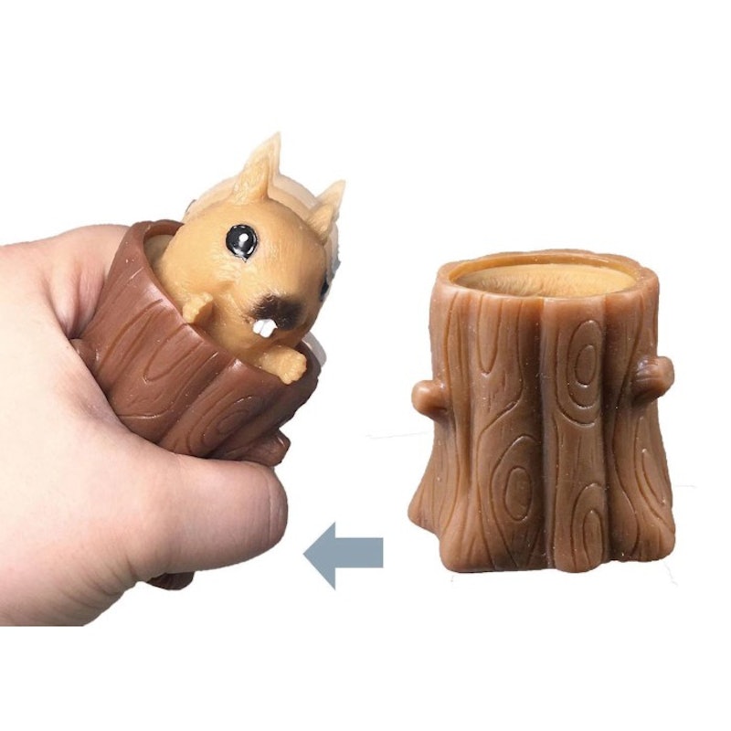 Pop It Squirrel Squishy 1