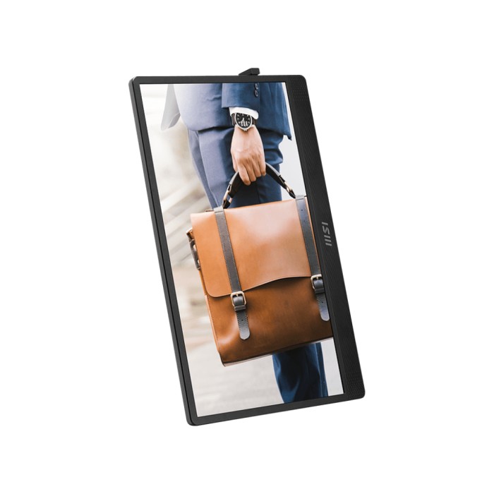 Micro Star International MSI Portable Monitor PRO MP161 E2