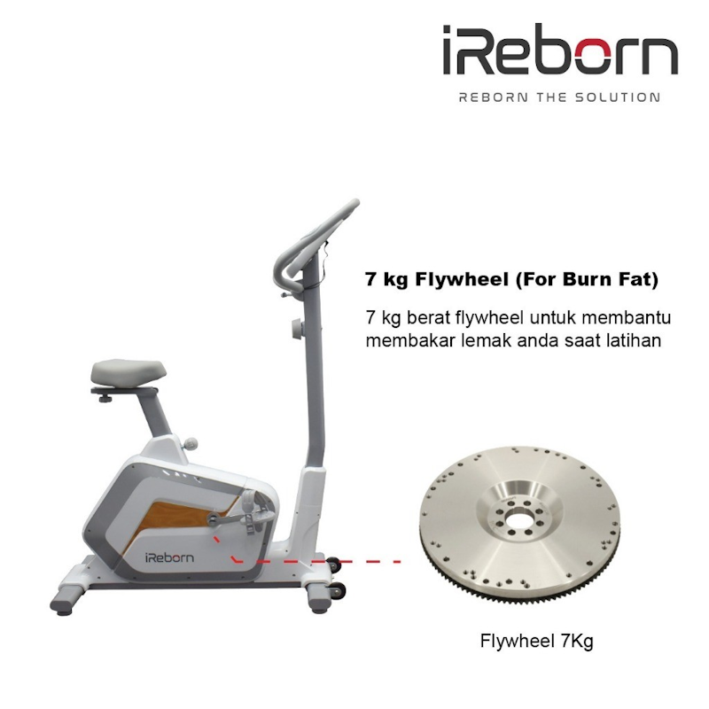 iReborn Carlo Magnetic Bike 5