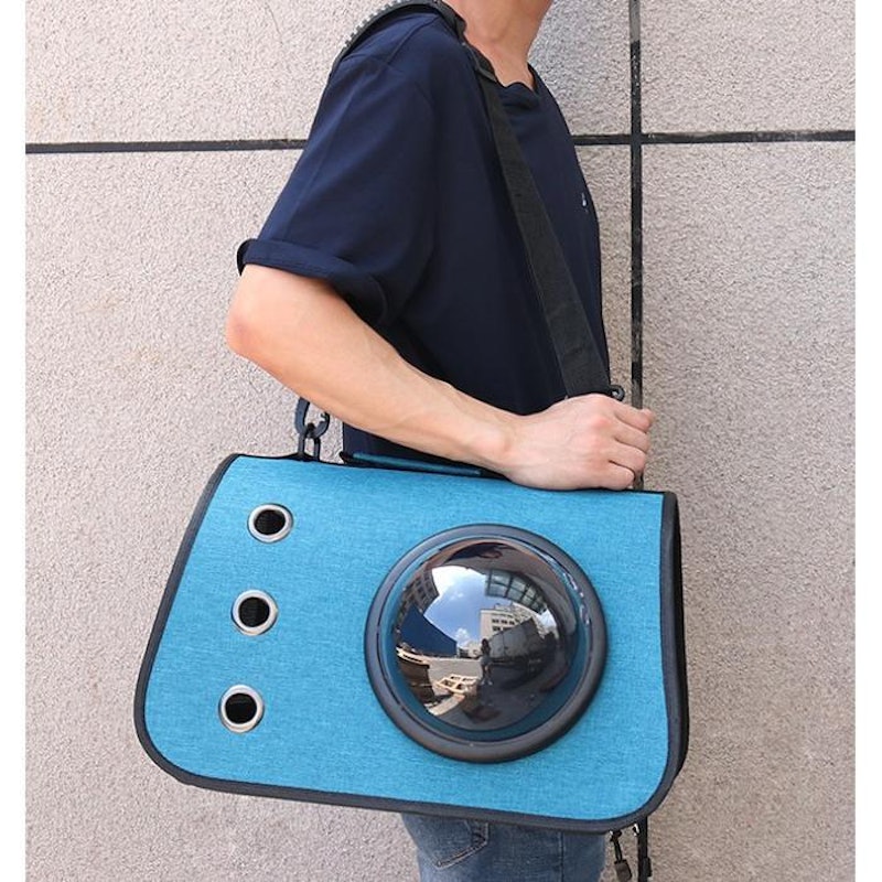 Vintage Story Pet Carrier Bag 2