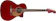 Fender Newporter Player 1