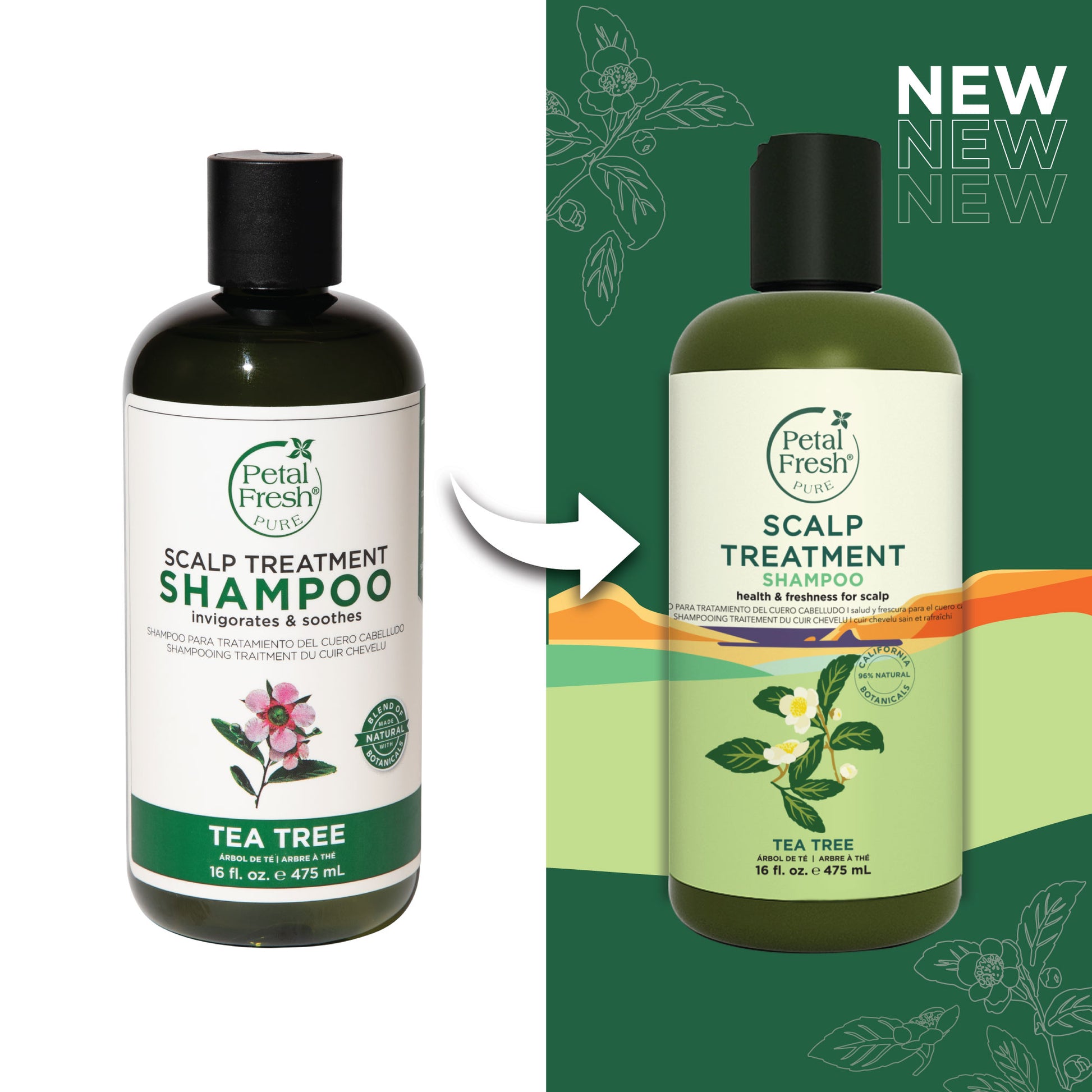 Petal Fresh Pure Scalp Treatment Shampoo with Tea Tree 3