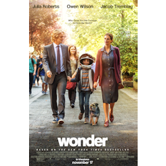 Wonder