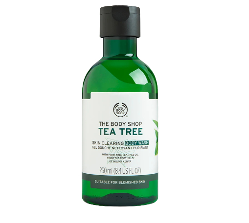 Tea Tree Skin Clearing Body Wash Shower Gel  1