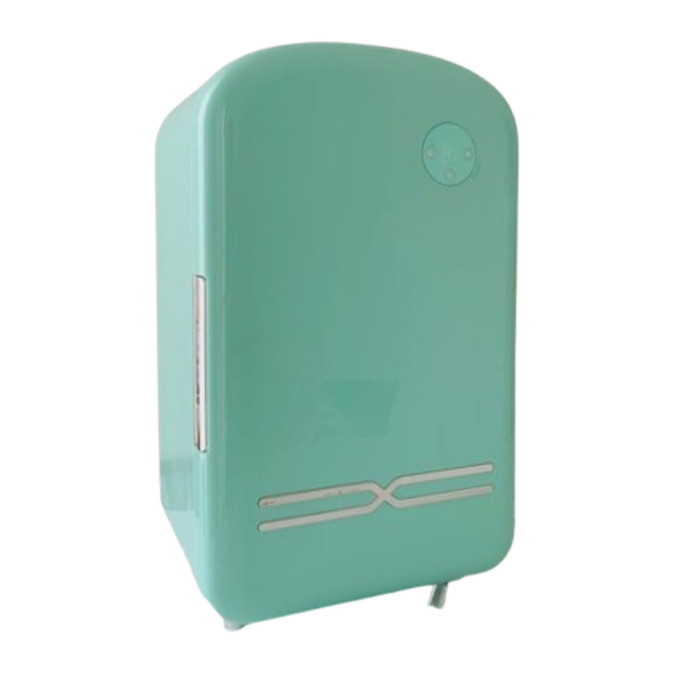 Aesthetic Mini Fridge 12 L
