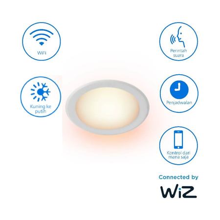 Philips Electronics Nederland B.V. Philips Smart Wifi LED Downlight 4W Tunable White