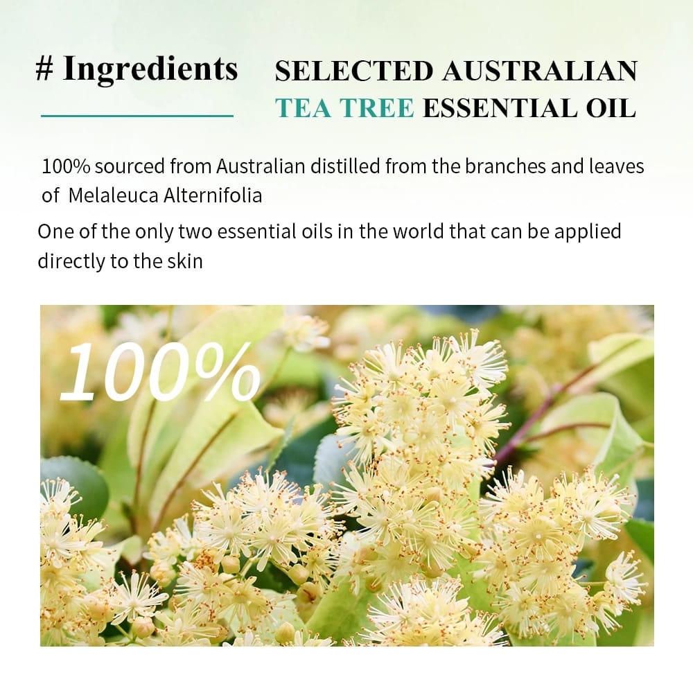 Breylee Indonesia BREYLEE Acne Pimple Patch Night