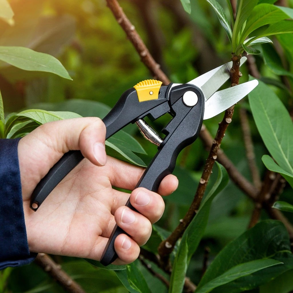 Deli Garden Shears Gunting Dahan 8 inch 4
