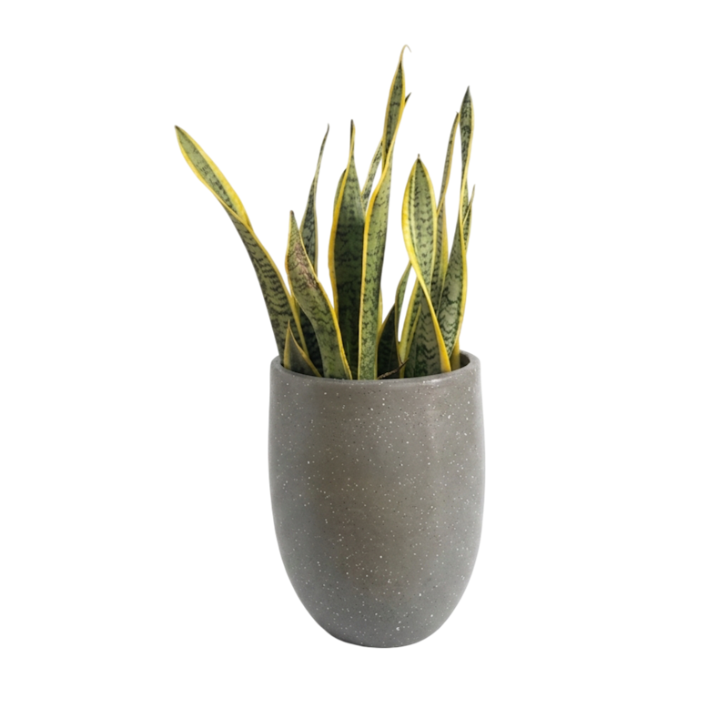 Pot Gerabah Kapsul Warna Abu-Abu 30×40 cm 1