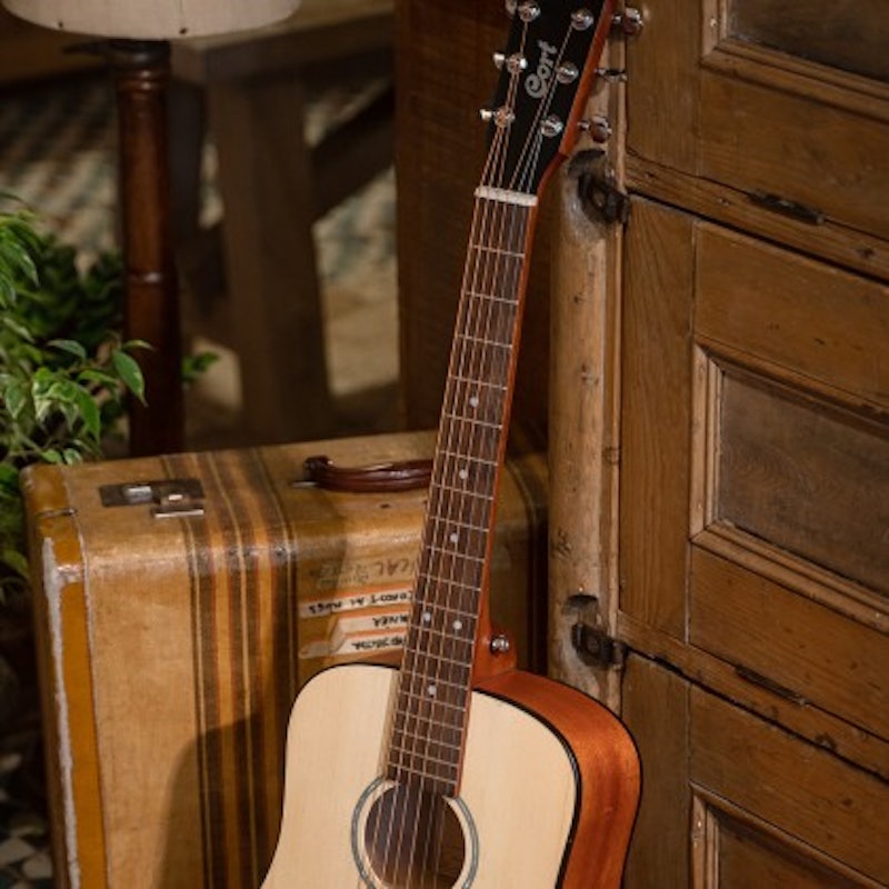 Accoustic Electric AD-Mini E-OP 5