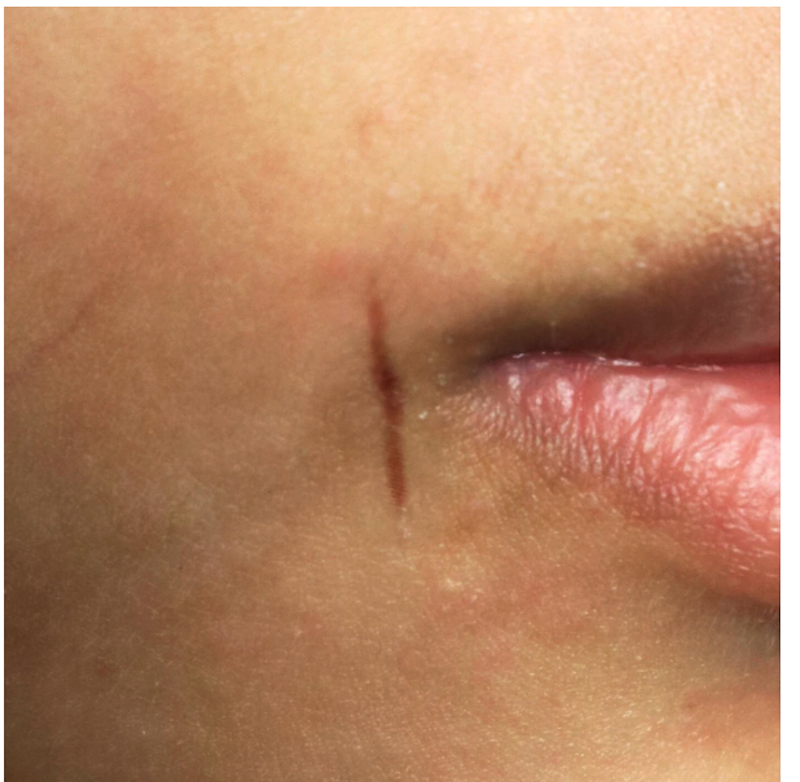 Desired FX Indonesia Tato Temporer Tiny Cut 2