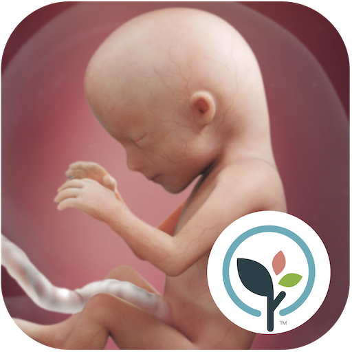 Pregnancy Tracker 1