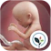 BabyCenter Pregnancy Tracker 1