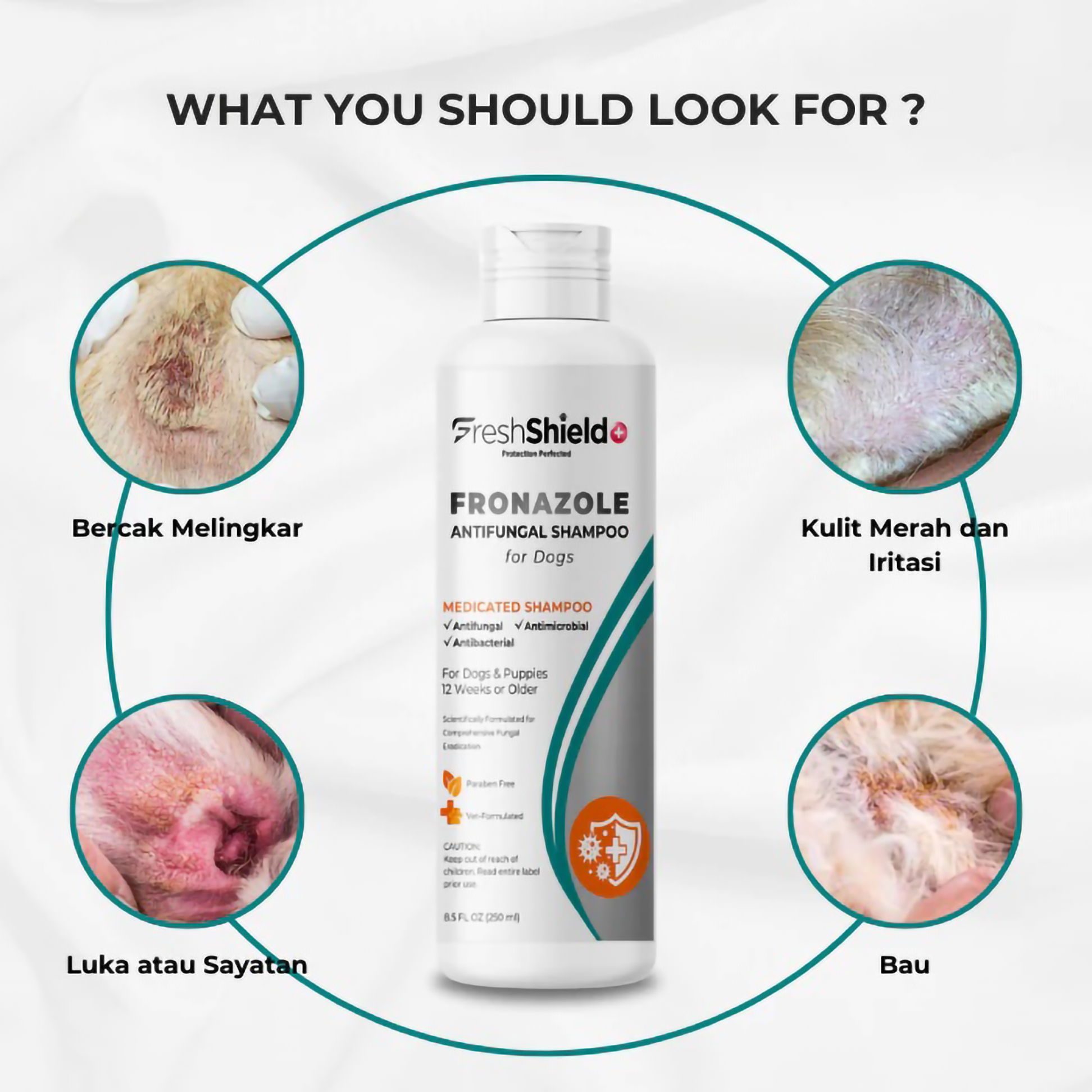 Fresh Shield+ Fronazole Antifungal Medicated Shampoo