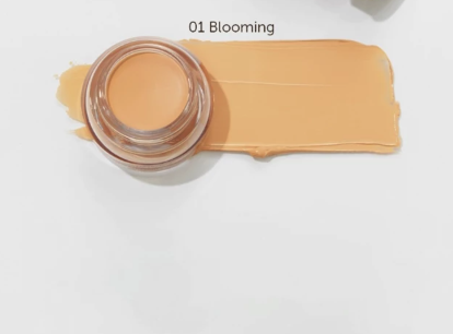 SKINFOOD  SKINFOOD Salmon Darkcircle Concealer Cream 01 Salmon Blooming