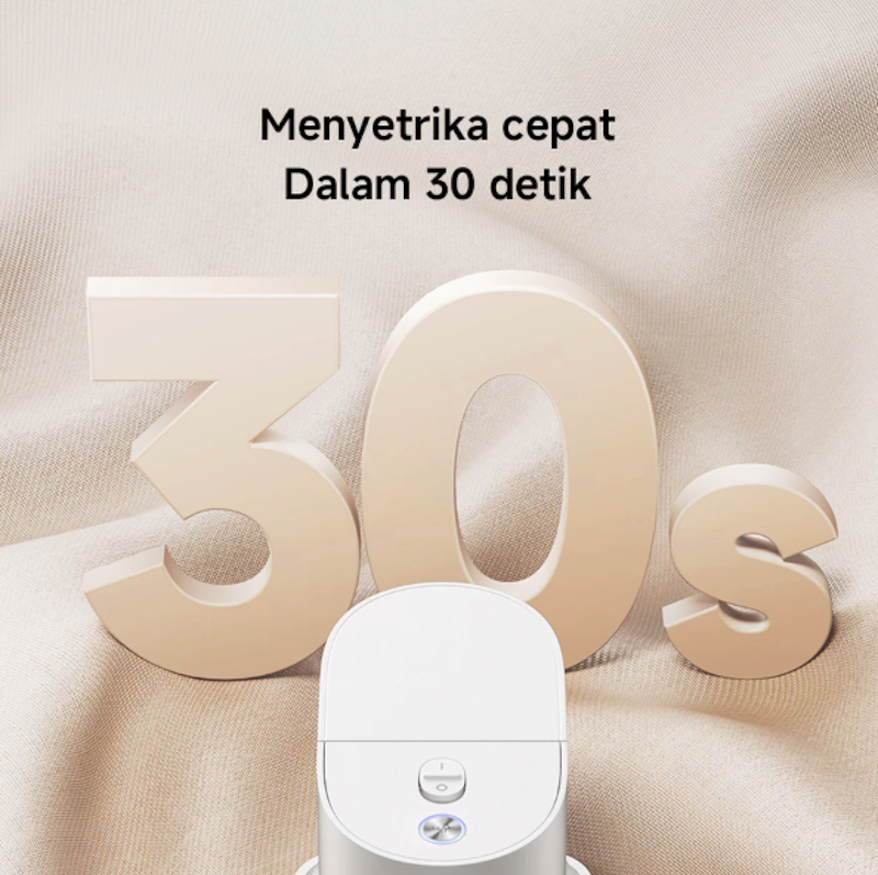 Handheld Steam Iron 2
