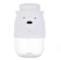 Miniso We Bare Bears Botol Tritan 1