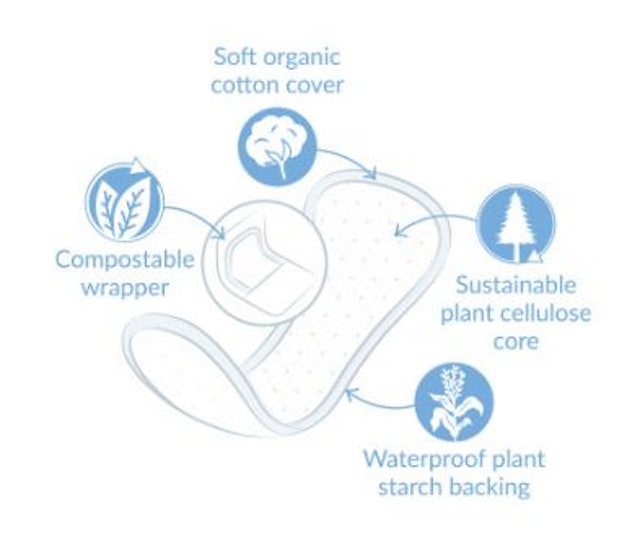 Bodywise Natracare Normal Panty Liners