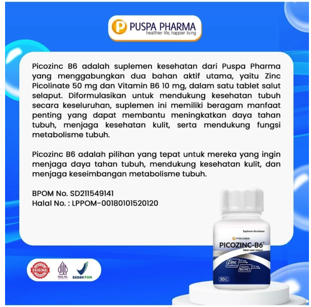 Puspa Pharma Picozinc-B6
