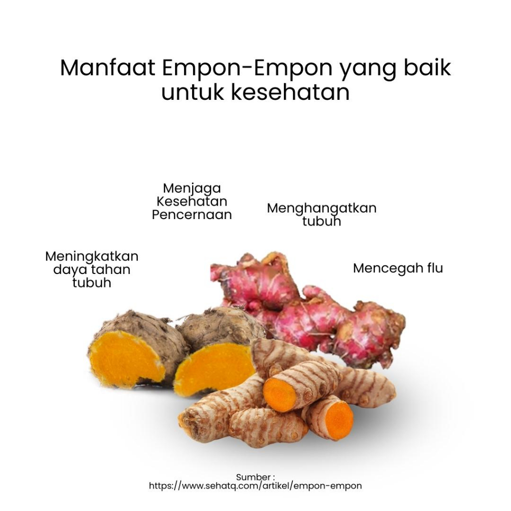 Herbilogy Empon Mix (Red Ginger, Java Turmeric, and Turmeric) Extract Powder