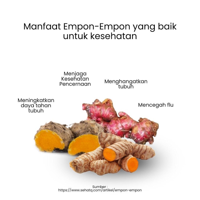 Herbilogy Empon Mix (Red Ginger, Java Turmeric, and Turmeric) Extract Powder 3