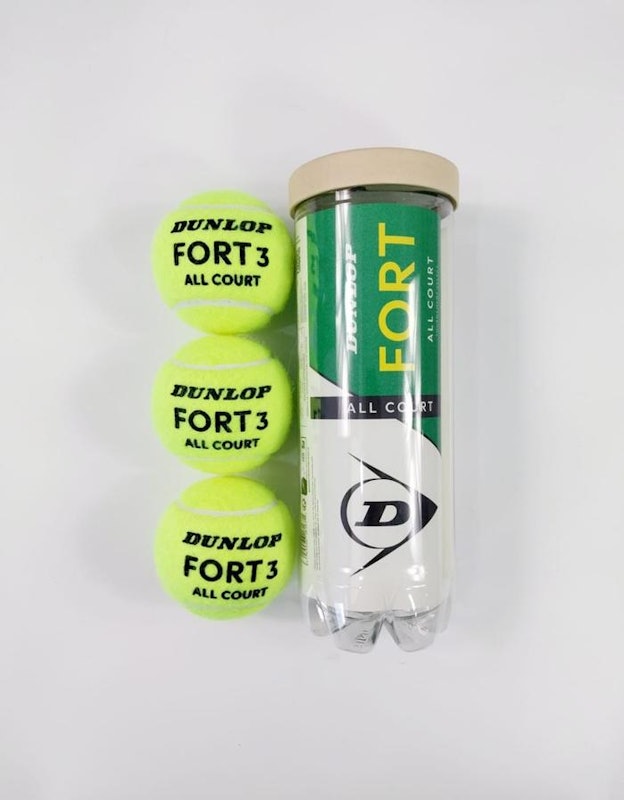 Dunlop Fort All Court TS 2