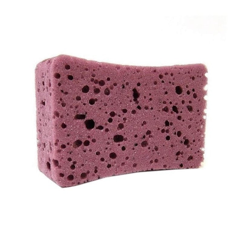 Smart Sponge 2
