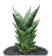 Sansevieria hybrid 'pagoda' 1