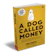 Bentang Pustaka Bodo Schäfer | A Dog Called Money 1