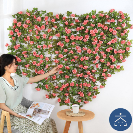 Kunataruma  Bunga Rambat Mawar Dekorasi Tanaman Hias