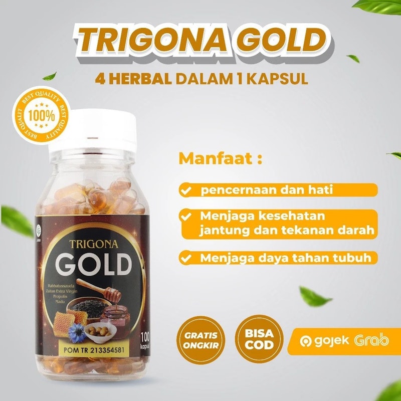 Trigona Gold 2