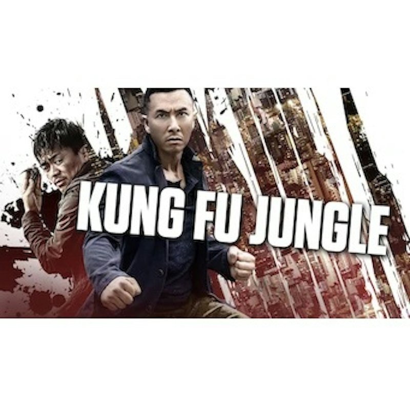 Kung Fu Jungle 1